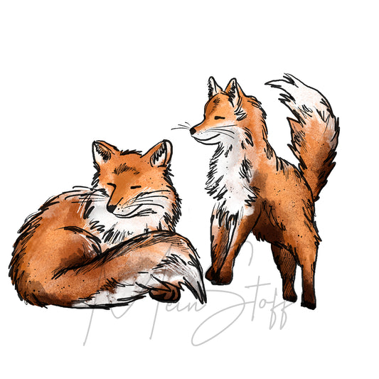 Bügelbild Foxis